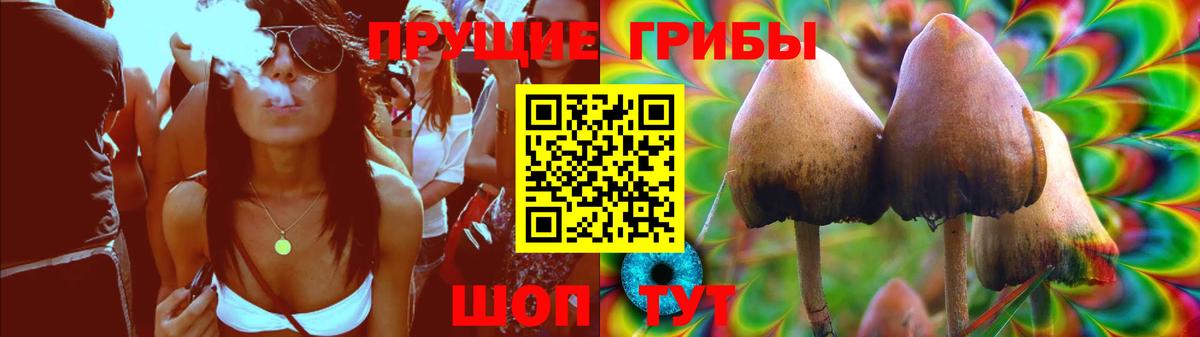 Галлюциногенные грибы мухоморы Майкоп